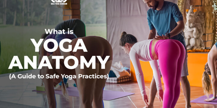 What is Yoga Anatomy – A Guide to Safe Yoga Practices